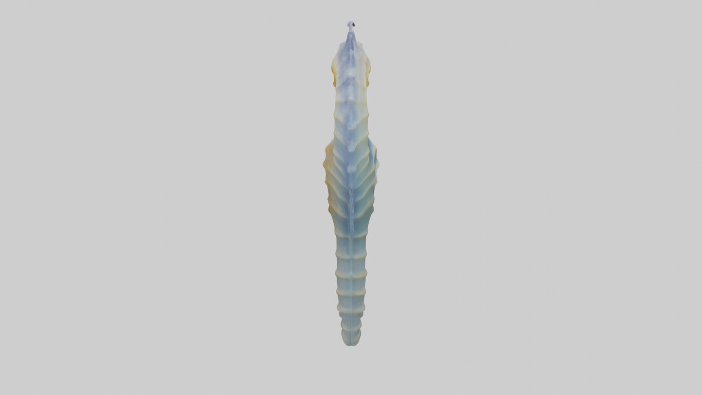 3D model Seahorse Fin VR / AR / low-poly