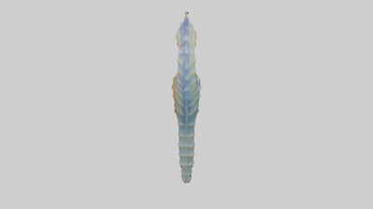 3D model Seahorse Fin VR / AR / low-poly