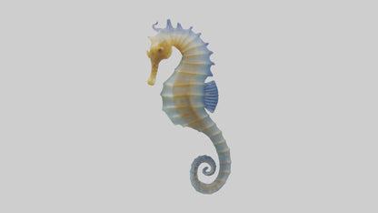 3D model Seahorse Fin VR / AR / low-poly