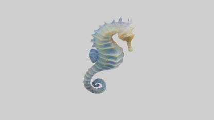 3D model Seahorse Fin VR / AR / low-poly