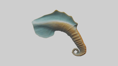 Seahorse Fin Model VR / AR / low-poly