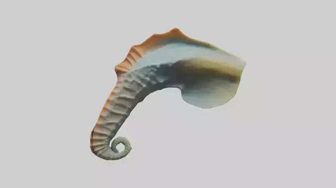 Seahorse Fin Model VR / AR / low-poly