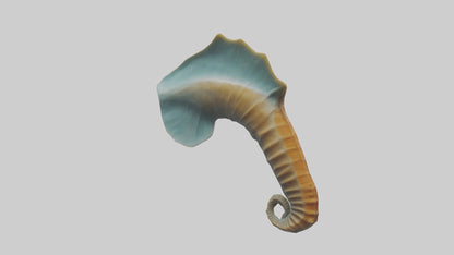 Seahorse Fin Model VR / AR / low-poly