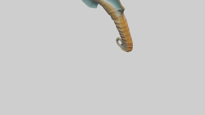 Seahorse Fin Model VR / AR / low-poly