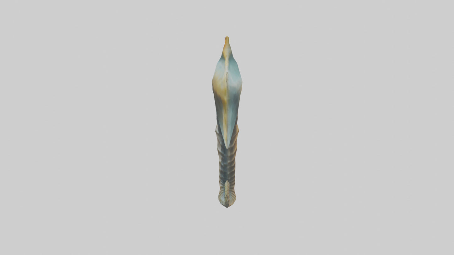 Seahorse Fin Model VR / AR / low-poly