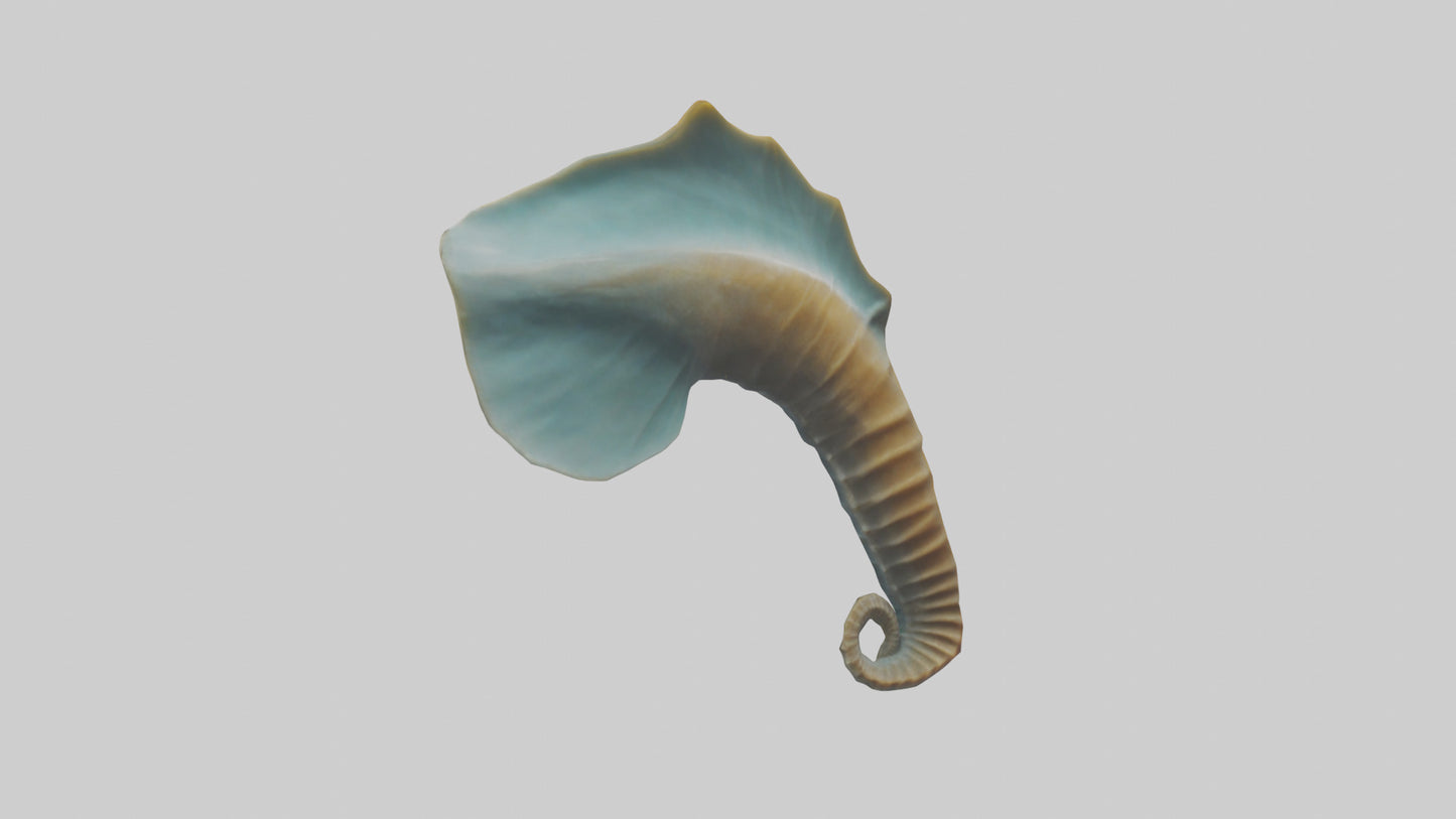 Seahorse Fin Model VR / AR / low-poly