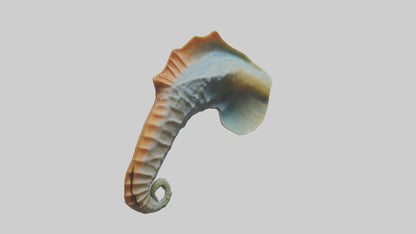 Seahorse Fin Model VR / AR / low-poly