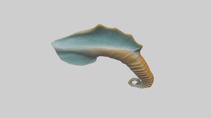 Seahorse Fin Model VR / AR / low-poly