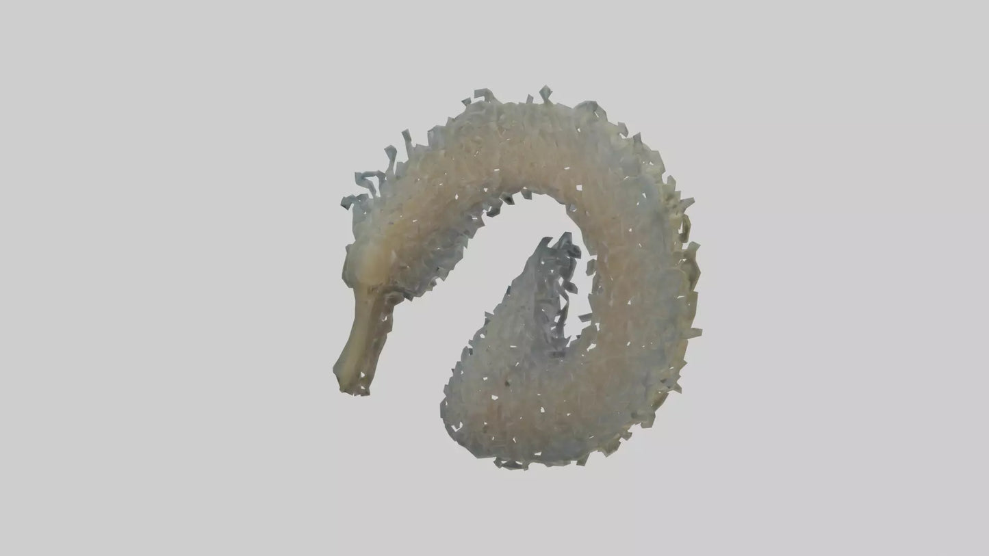 3D model Seahorse Gills VR / AR / low-poly