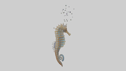 Seahorse Lungs 3D model
