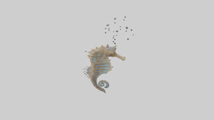 Seahorse Lungs 3D model