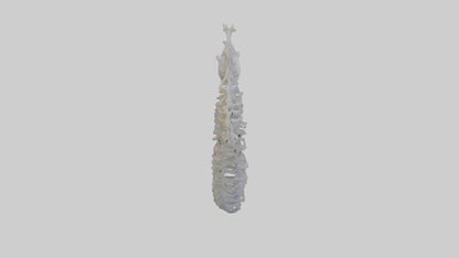 3D model Seahorse Rib VR / AR / low-poly