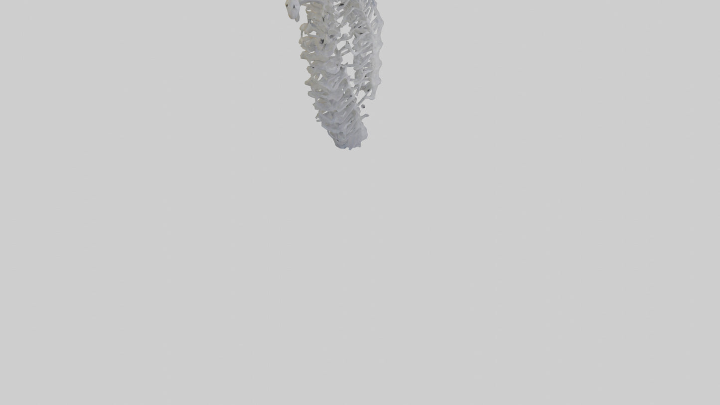 3D model Seahorse Rib VR / AR / low-poly
