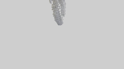 3D model Seahorse Rib VR / AR / low-poly