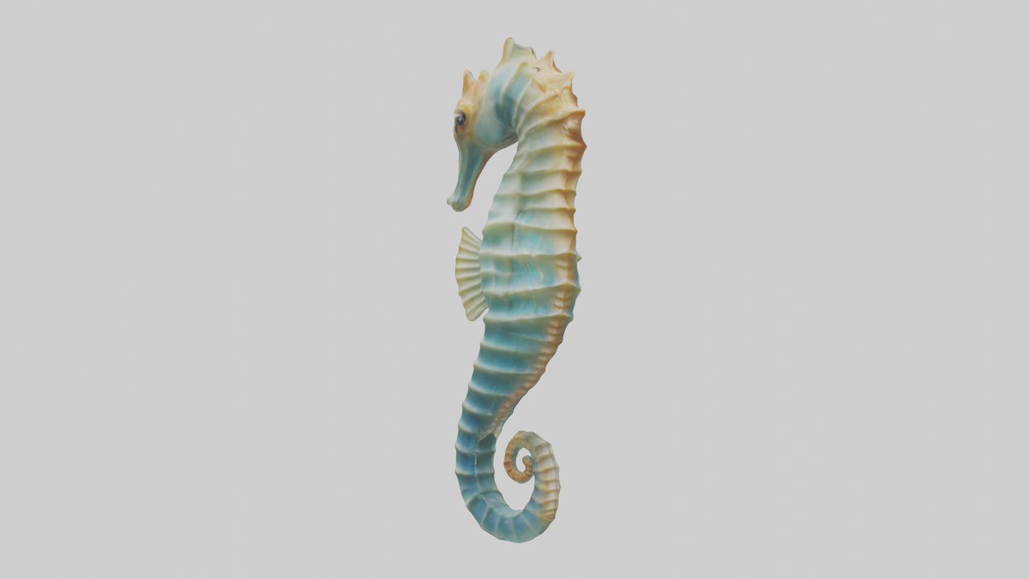 3D model Seahorse swaying model VR / AR / low-poly