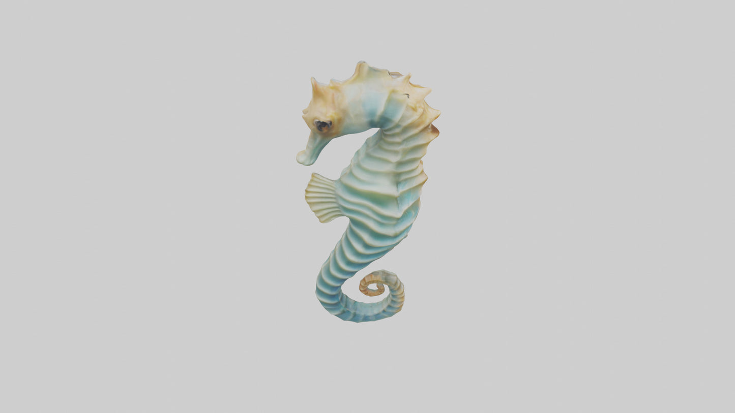 3D model Seahorse swaying model VR / AR / low-poly