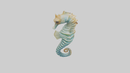 3D model Seahorse swaying model VR / AR / low-poly