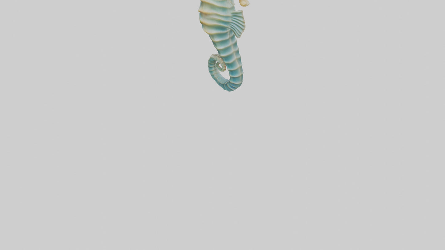 3D model Seahorse swaying model VR / AR / low-poly