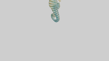 3D model Seahorse swaying model VR / AR / low-poly