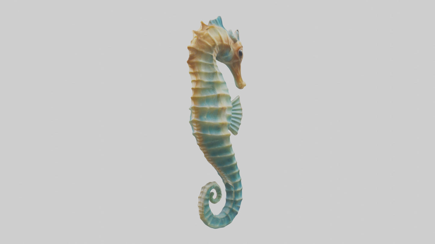 3D model Seahorse swaying model VR / AR / low-poly