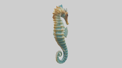 3D model Seahorse swaying model VR / AR / low-poly