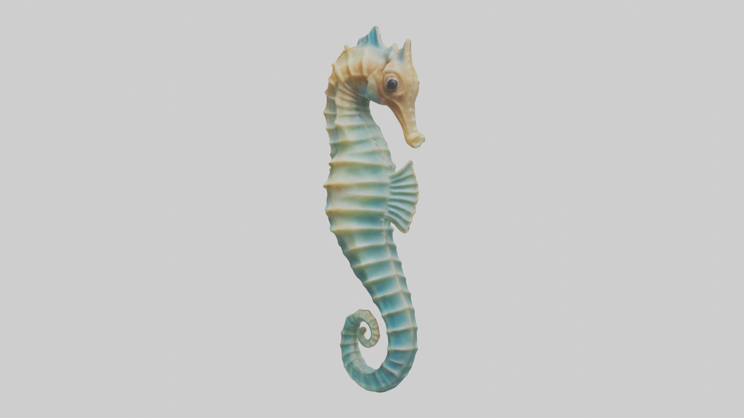 3D model Seahorse swaying model VR / AR / low-poly
