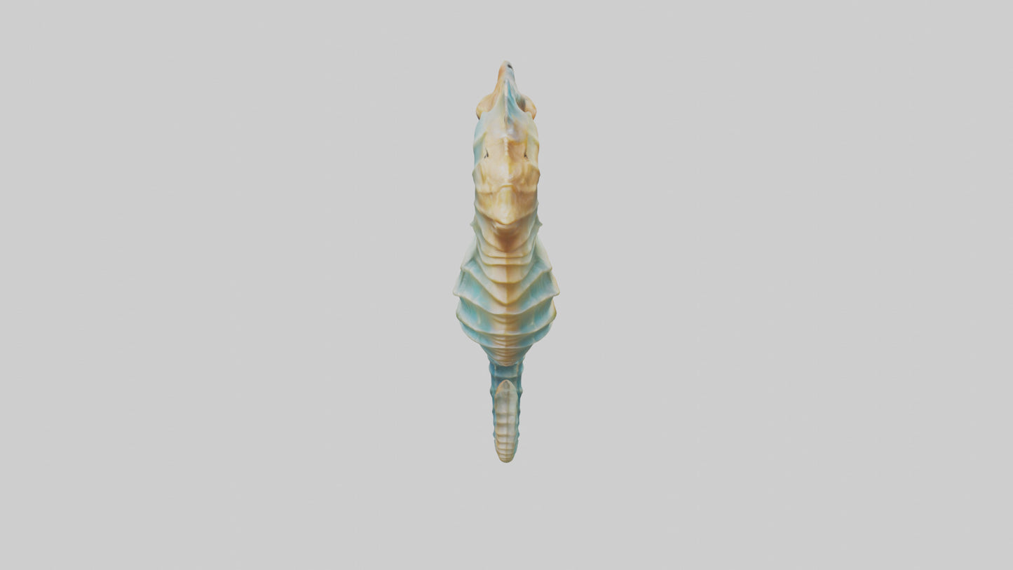 3D model Seahorse swaying model VR / AR / low-poly