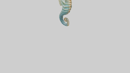 3D model Seahorse swaying model VR / AR / low-poly