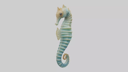 3D model Seahorse swaying model VR / AR / low-poly