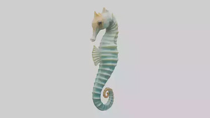 3D model Seahorse swaying model VR / AR / low-poly