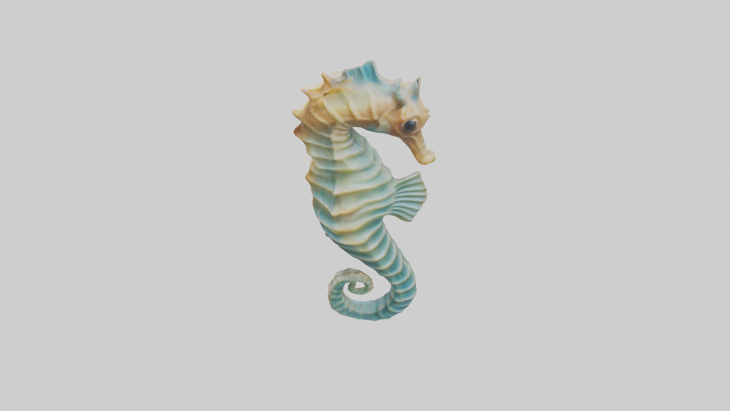 3D model Seahorse swaying model VR / AR / low-poly