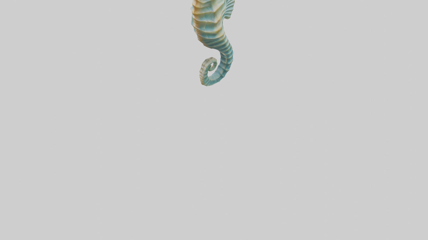 3D model Seahorse swaying model VR / AR / low-poly