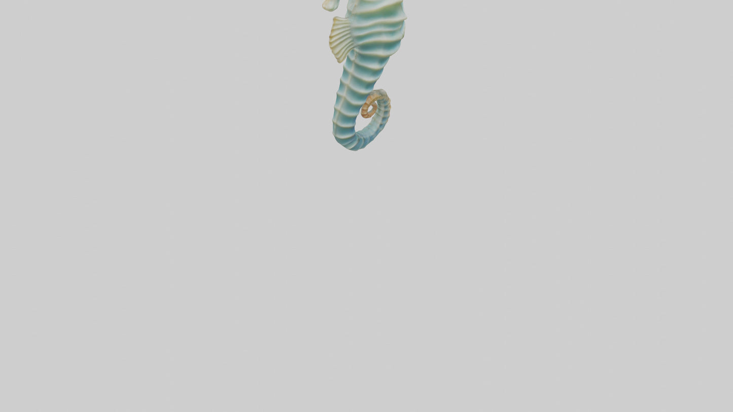 3D model Seahorse swaying model VR / AR / low-poly