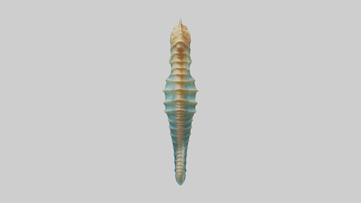 3D model Seahorse swaying model VR / AR / low-poly
