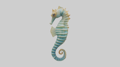3D model Seahorse swaying model VR / AR / low-poly