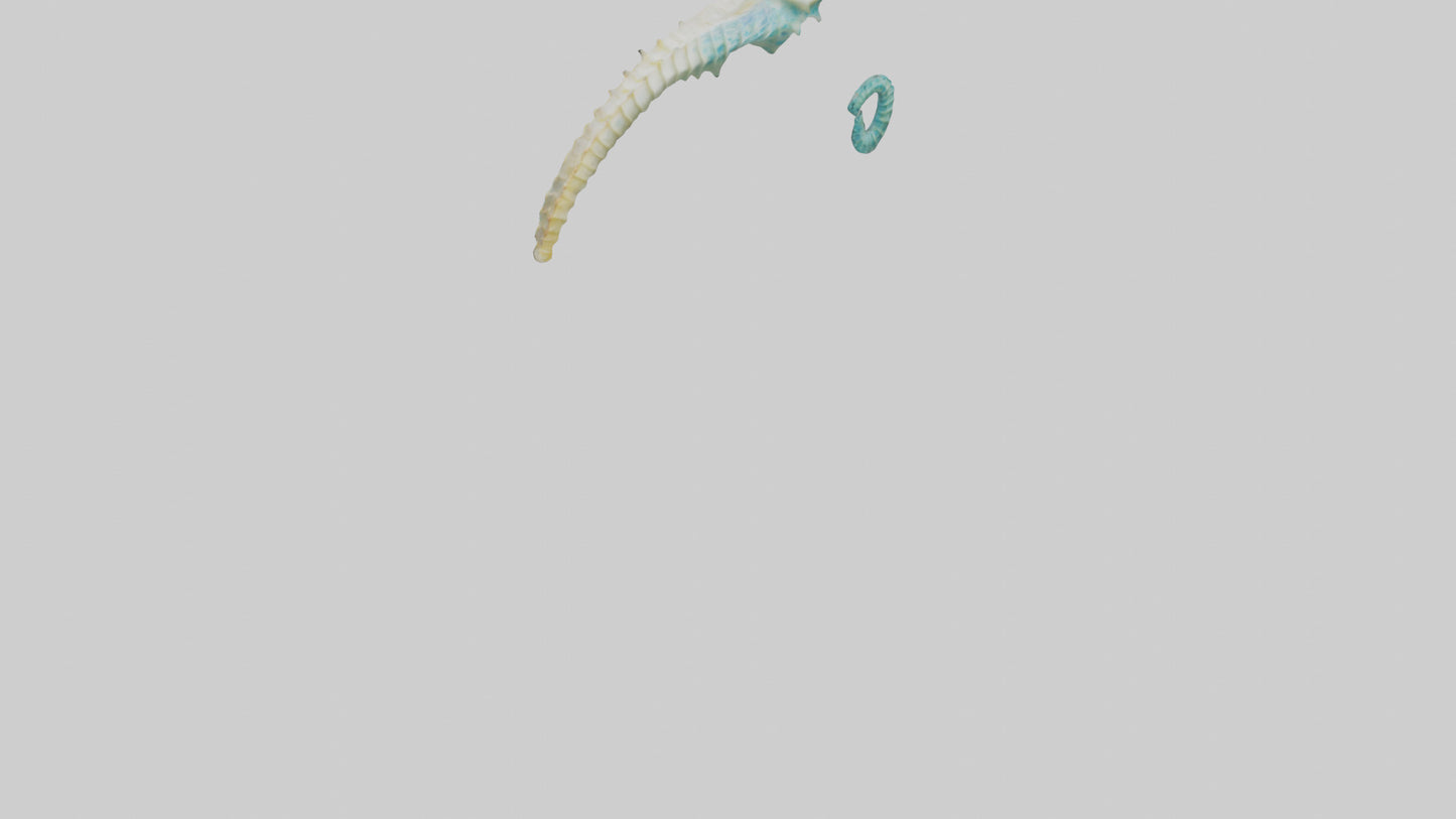3D model Seahorse swimming model VR / AR / low-poly