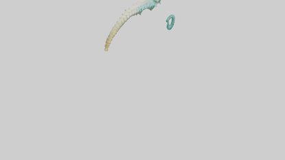 3D model Seahorse swimming model VR / AR / low-poly