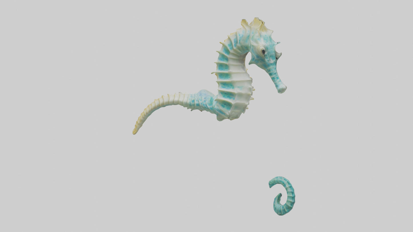 3D model Seahorse swimming model VR / AR / low-poly