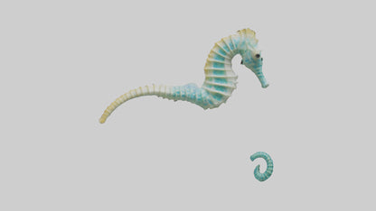 3D model Seahorse swimming model VR / AR / low-poly