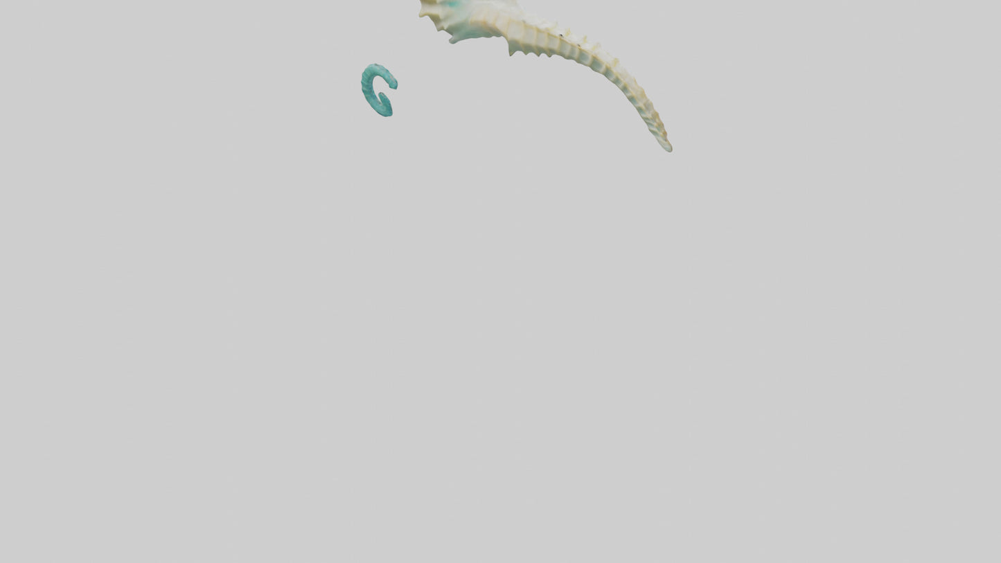 3D model Seahorse swimming model VR / AR / low-poly