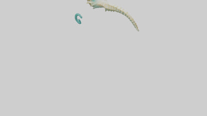 3D model Seahorse swimming model VR / AR / low-poly