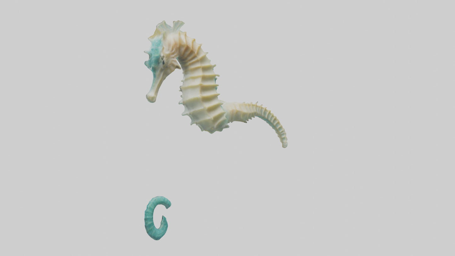 3D model Seahorse swimming model VR / AR / low-poly