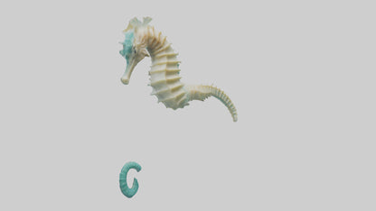 3D model Seahorse swimming model VR / AR / low-poly