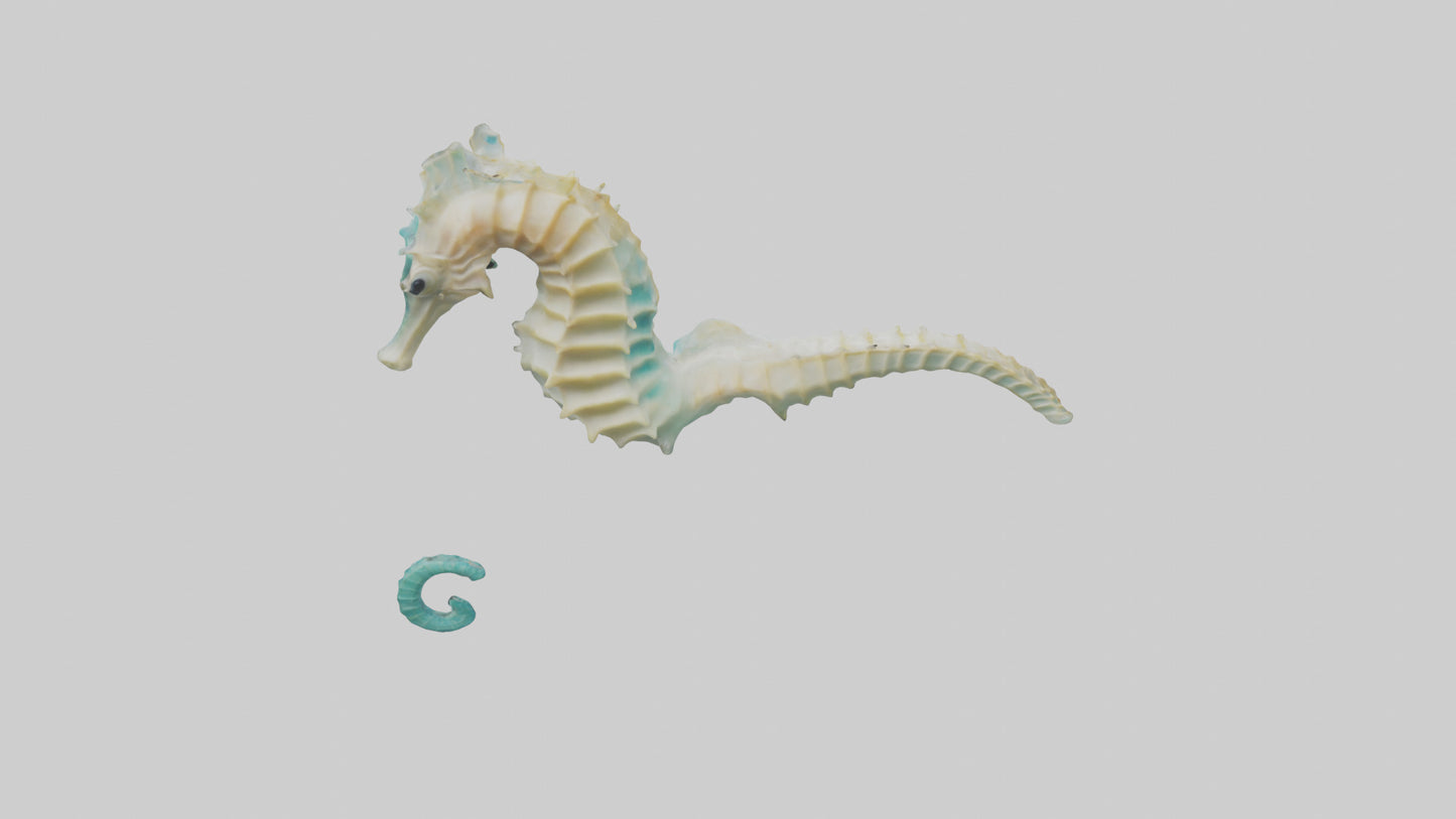 3D model Seahorse swimming model VR / AR / low-poly