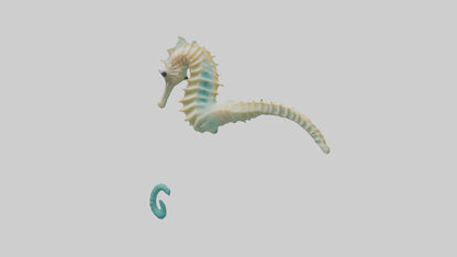 3D model Seahorse swimming model VR / AR / low-poly