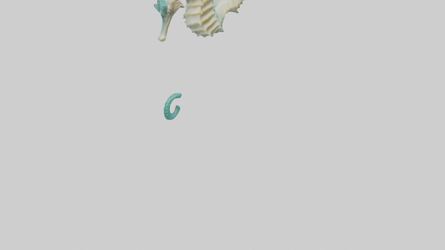 3D model Seahorse swimming model VR / AR / low-poly