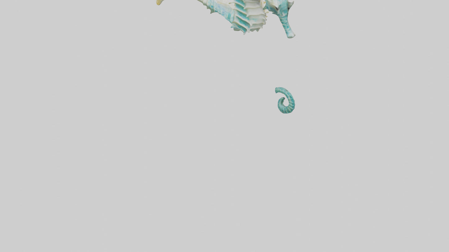 3D model Seahorse swimming model VR / AR / low-poly
