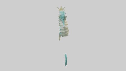 3D model Seahorse swimming model VR / AR / low-poly