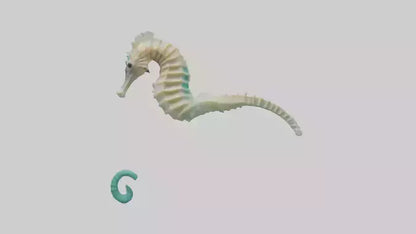3D model Seahorse swimming model VR / AR / low-poly