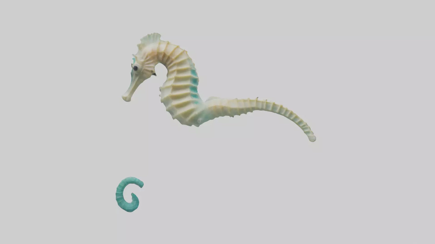 3D model Seahorse swimming model VR / AR / low-poly